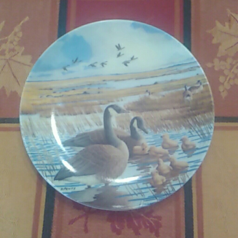Collectors plate